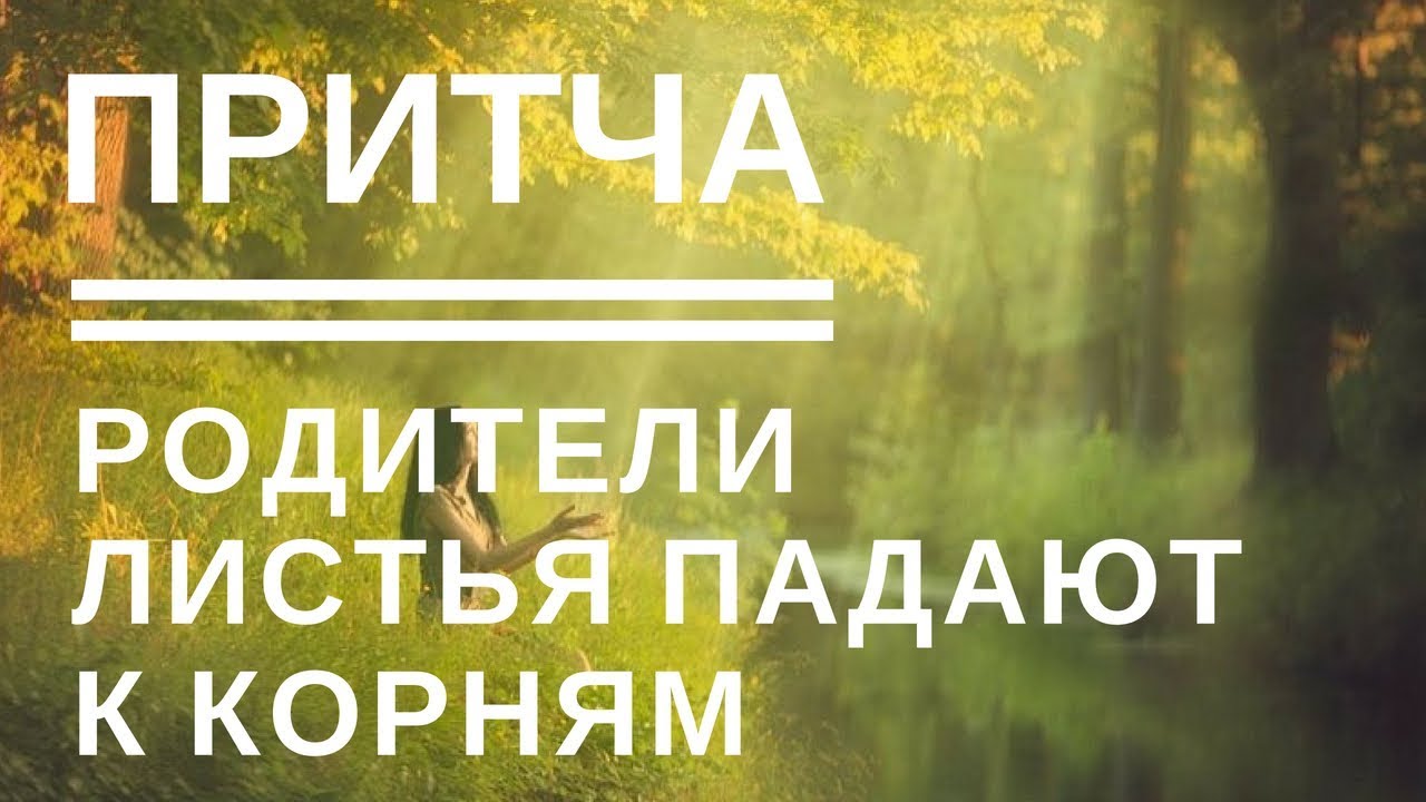 Турбина листья падают