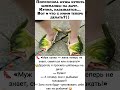 👠 «Муж купил — жена теперь не знает, смеяться или плакать!» 😂 #funny #юмор #шуточное #прикол #ржач