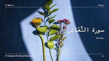 سورة التغابن بصوت الشيخ سعد الغامدي || Surah At-Taghabun (The Mutual Disillusion) Read by Al-Ghamidi