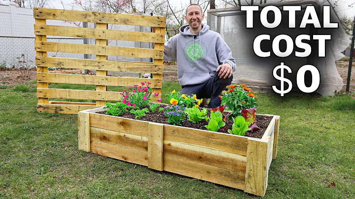 How to Build a Mini RAISED BED Using ONE PALLET, FREE Backyard Gardening! - DayDayNews