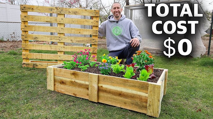 How to Build a Raised Bed CHEAP and EASY, Backyard Gardening 