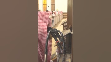 الشيخ محمد الحيدان  ما تيسر من سورة النمل