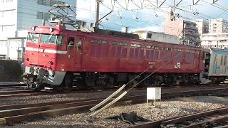 2023年12月21日 新潟から､秋田から配給列車が2本やってきた！そしてEast i-Dも､､､ EF64 1031牽引 E131系 T6編成、EF81 139牽引 E231系 K4編成　JR高崎駅