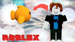How To Be A Floating Fish In Roblox Cute