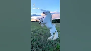 ما أجمل خلق الله 
