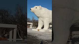 Установка белых новогодних медведей в Кургане возле филармонии. 7 декабря 2023г