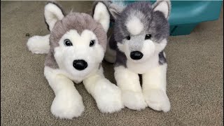 Douglas Cuddle Toy Geno DLux Husky vs Sasha Husky