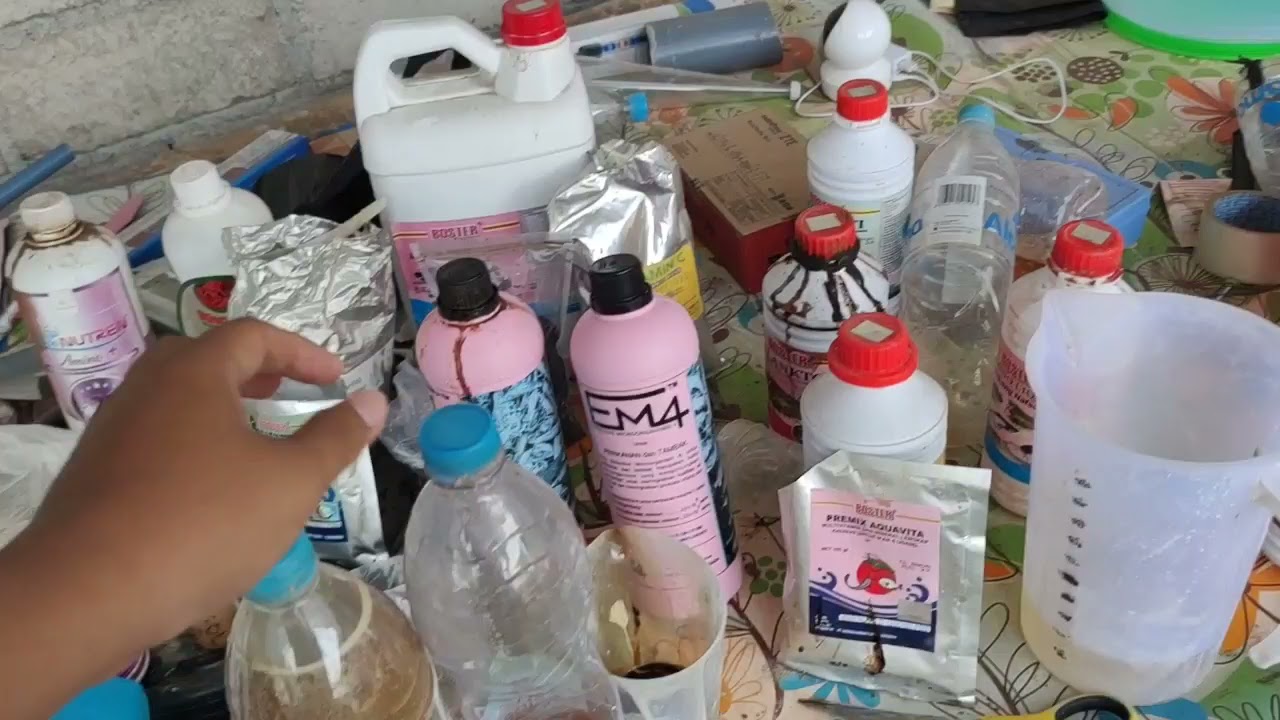Ulasan Budidaya Vaname Air Tawar(Part 2)- Bakteri dan Campuran Pakan