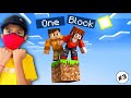 MINECRAFT INSANE ONE BLOCK PART-3