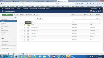 How to use fields in TZ Portfolio Plus