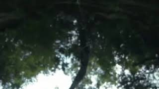 Whindersson Nunes Making-of nova série (part.1)