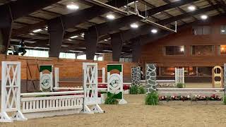 Louboutin 2012 Warmblood Gelding Fancy Hunter for purchase or lease.  Michigan.