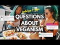Should You Be 100% "Vegan"? Can I Cheat On My Vegan Diet? (Answering Your Questions)