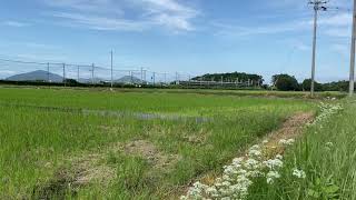 JR西日本　琵琶湖線