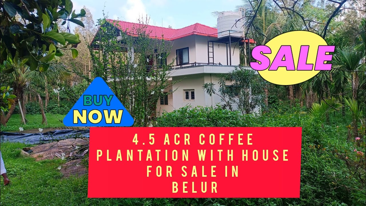 4.5 acr coffee plantation with house for sale in Belur 🌳🌱#realestate #property