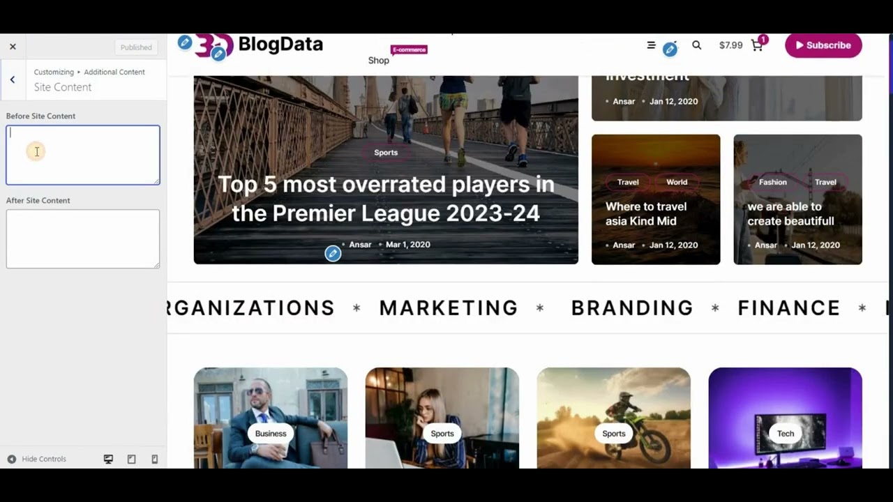 blogdata-blog-wordpress-theme-site-additional-content-youtube