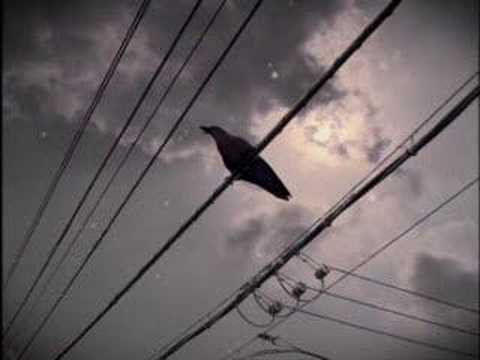 Trampled Rose - Tom Waits Cover Instrumental