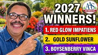 2027 AAS Flower Winners 3 Exciting New Flowers for Next Year's Garden