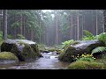 Relaxing River Flow for Quiet Mind and Rest