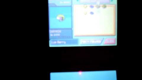 How to clone in Pokemon Platinum (DS action replay)