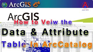 Data View in ArcCatalog|How to see the data in ArcCatalog|JastGIS