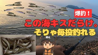 【キス釣り】爆釣！この海、キスだらけ！毎投のように釣れる！