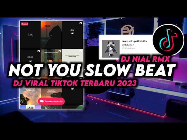 DJ NOT YOU Slow Beat Remix Viral Tiktok Terbaru 2023 Full Bass class=