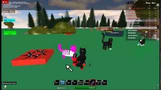 thunderclan and shadowclan war