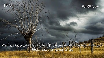 قرآن كريم بصوت القارئ: وديع اليمني || أجمل حالات واتس اب دينيه || تلاوة خاشعة 🌿