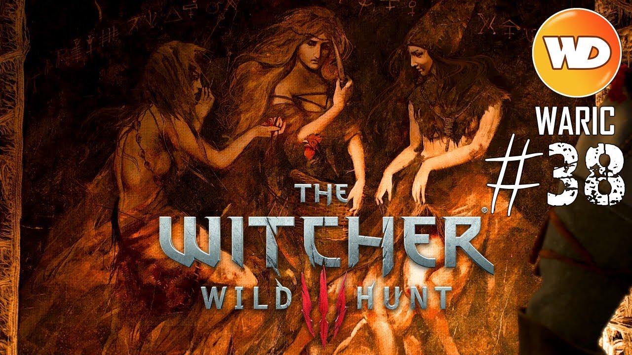 The Witcher 3 Les Dames De La Forêt Choix