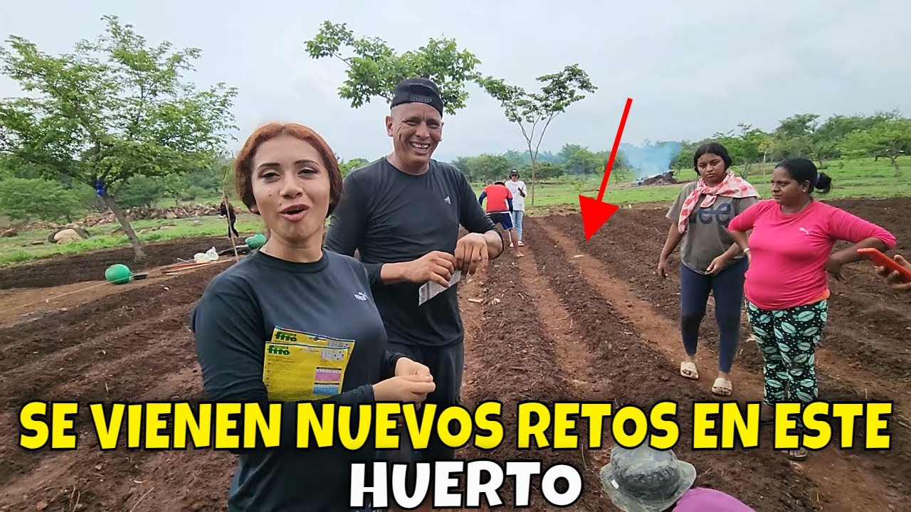 ⁣Los bichos tienen un plan en este huerto. Normita nos explica como es el crecimiento del rábano. P13