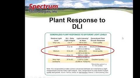 Spectrum Quantum PAR Meter