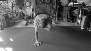 Pause Plank Shoulder Taps