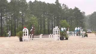 Fgf Zortec Stable View Sj 42421