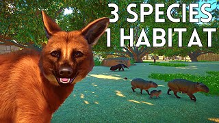 Can Maned Wolves & Giant Anteaters live with our Capybara?