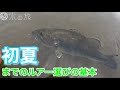 【梅雨～初夏のバス釣り】どんなことを意識してルアーをセレクトして釣って行くか？ルアー選びの基準とバスの傾向の実釣解説。【水の旅＃ ６４】