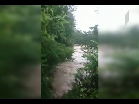 მაშველები ლაგოდეხის ნაკრძალში ჩარჩენილი მოზარდების გამოყვანას ცდილობენ