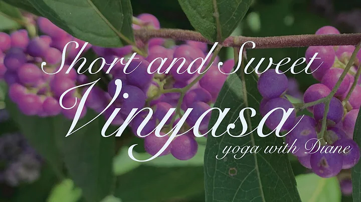 Short and Sweet Vinyasa | Diane Speer Yoga