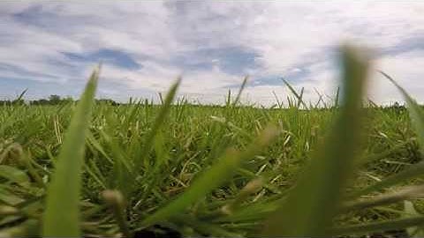 PID settings matter!