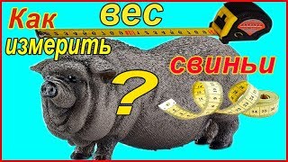 Замер веса свиней по таблице Замер веса свиней по таблице