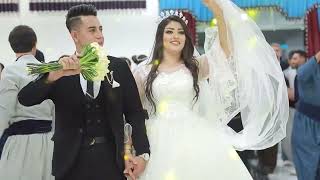 kurdish wedding 2024  beutiful kurdish wedding #1 #kurdishdance #dance