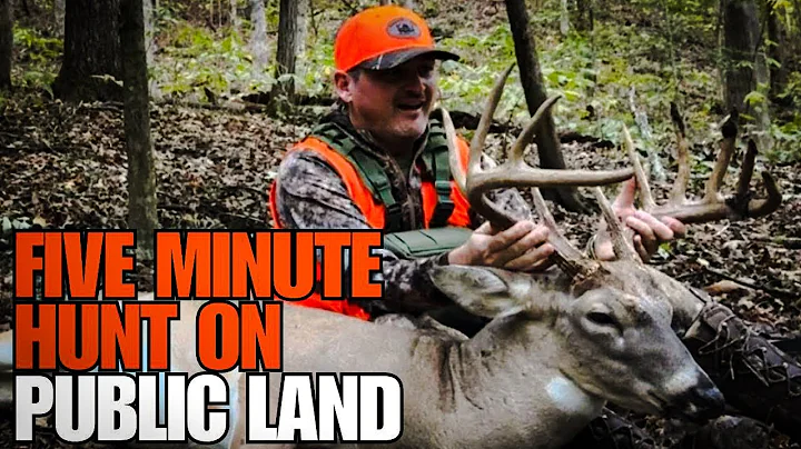 Arkansas Public Land Buck And It Only Took Five Minutes