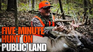 Arkansas Public Land Buck And It Only Took Five Minutes