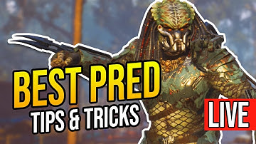 🔴 LIVE! BEST PREDATOR in Predator Hunting Grounds "TIPS & TRICKS!" How to Play Predator Livestream