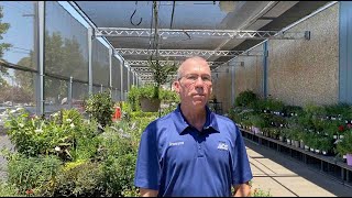 How to Treat Heat Stress and Avoid Sun Scald in Your Outdoor Plants and Vegetable Gardens