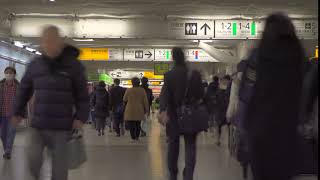Tokyo Commuters Timelapse