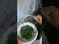 sayur katu #dailycooking #masakancepat #masakansederhana