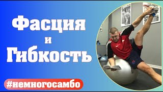 Гибкость за 5 минут без фокусов (советы физиотерапевта) - неМНОГО САМБО : Выпуск#73