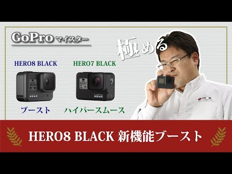 GoPro HERO8 BLACK         2 0                  