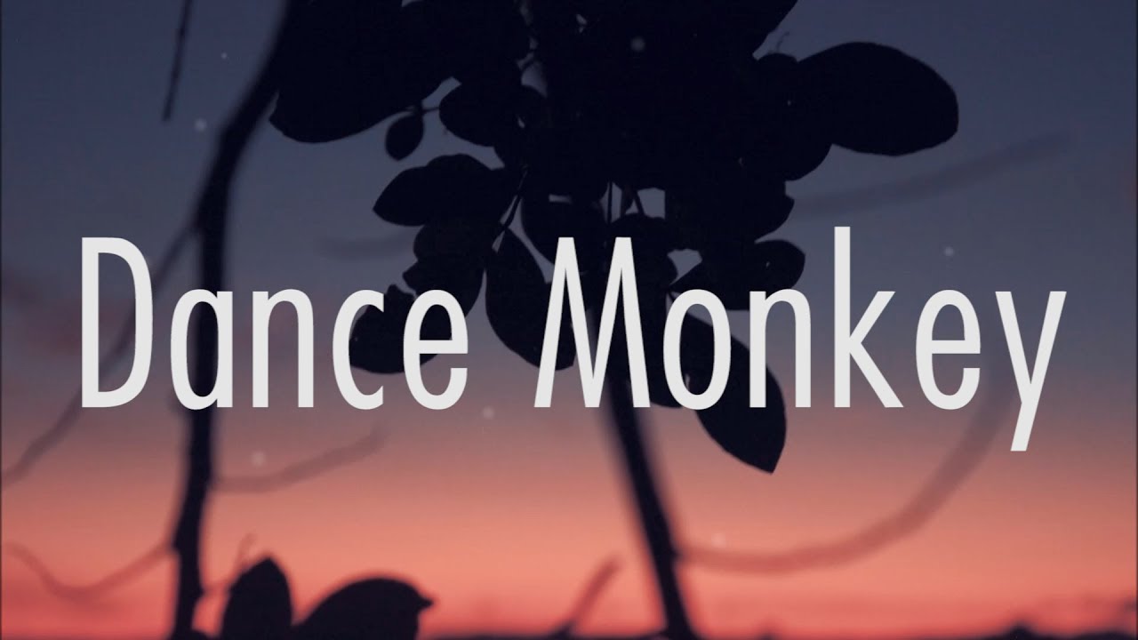 Tones and I   Dance Monkey Lyrics